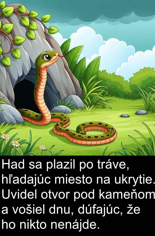 hľadajúc: Had sa plazil po tráve, hľadajúc miesto na ukrytie. Uvidel otvor pod kameňom a vošiel dnu, dúfajúc, že ho nikto nenájde.