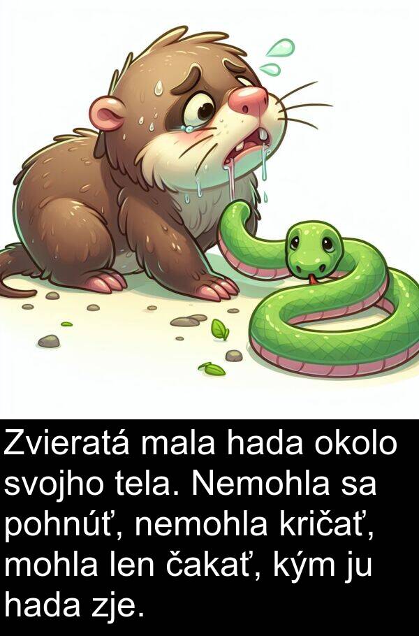 čakať: Zvieratá mala hada okolo svojho tela. Nemohla sa pohnúť, nemohla kričať, mohla len čakať, kým ju hada zje.