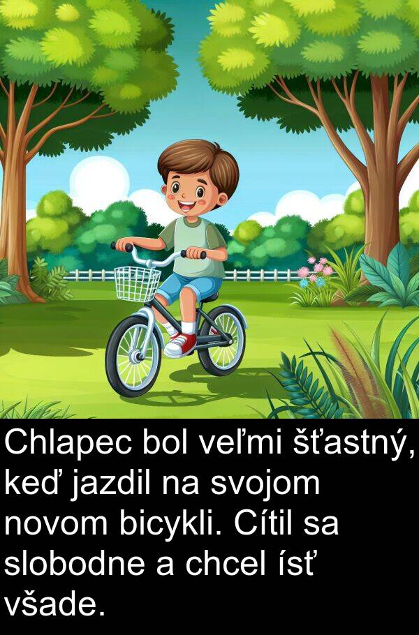 ísť: Chlapec bol veľmi šťastný, keď jazdil na svojom novom bicykli. Cítil sa slobodne a chcel ísť všade.