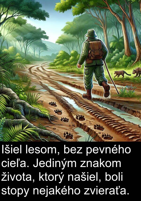 pevného: Išiel lesom, bez pevného cieľa. Jediným znakom života, ktorý našiel, boli stopy nejakého zvieraťa.