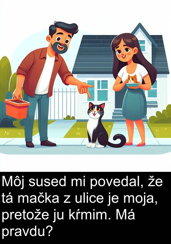 mačka: Môj sused mi povedal, že tá mačka z ulice je moja, pretože ju kŕmim. Má pravdu?