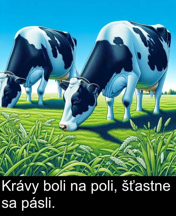 boli: Krávy boli na poli, šťastne sa pásli.