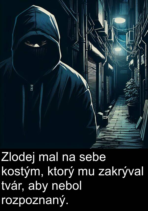 sebe: Zlodej mal na sebe kostým, ktorý mu zakrýval tvár, aby nebol rozpoznaný.