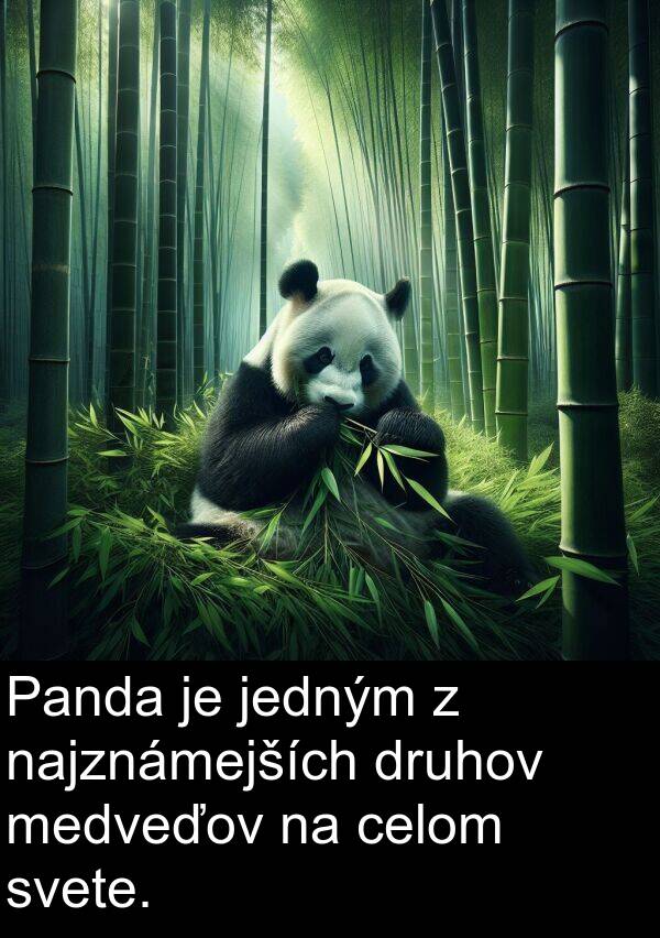 jedným: Panda je jedným z najznámejších druhov medveďov na celom svete.