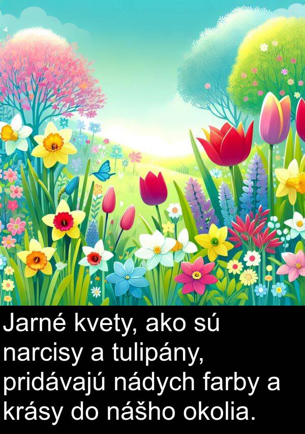 pridávajú: Jarné kvety, ako sú narcisy a tulipány, pridávajú nádych farby a krásy do nášho okolia.