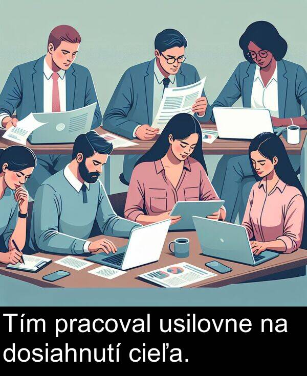 pracoval: Tím pracoval usilovne na dosiahnutí cieľa.