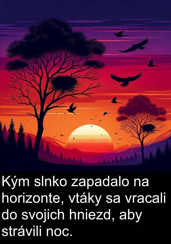 horizonte: Kým slnko zapadalo na horizonte, vtáky sa vracali do svojich hniezd, aby strávili noc.