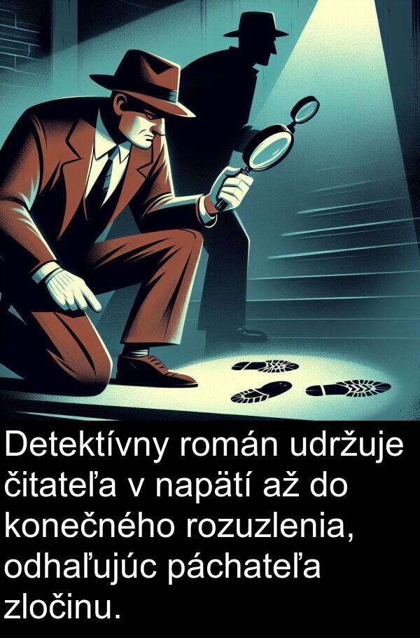 páchateľa: Detektívny román udržuje čitateľa v napätí až do konečného rozuzlenia, odhaľujúc páchateľa zločinu.