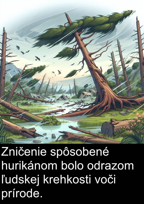 prírode: Zničenie spôsobené hurikánom bolo odrazom ľudskej krehkosti voči prírode.