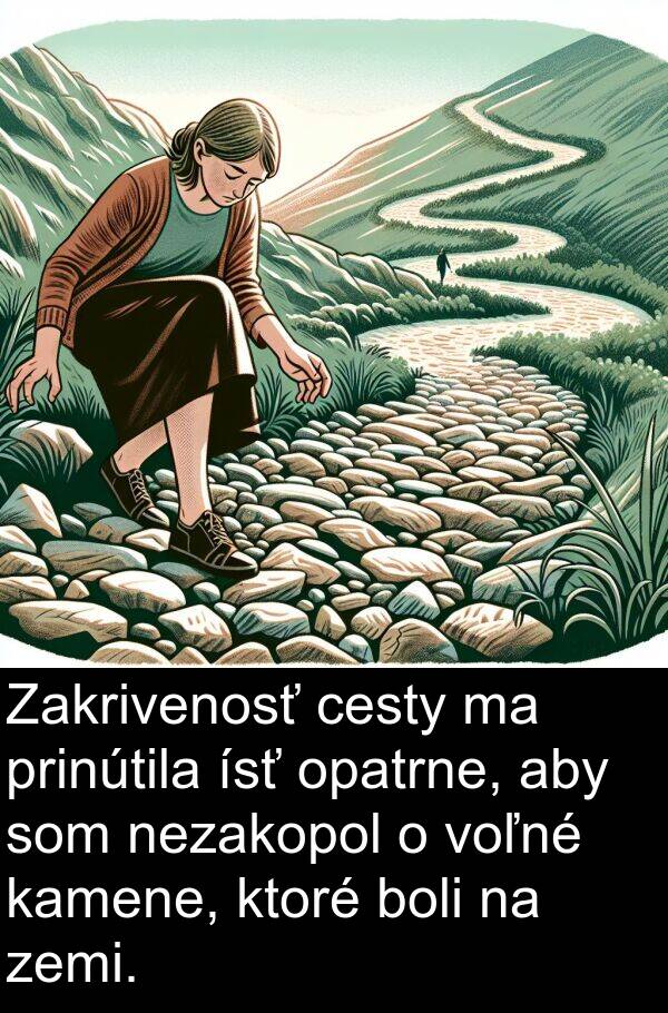 ísť: Zakrivenosť cesty ma prinútila ísť opatrne, aby som nezakopol o voľné kamene, ktoré boli na zemi.