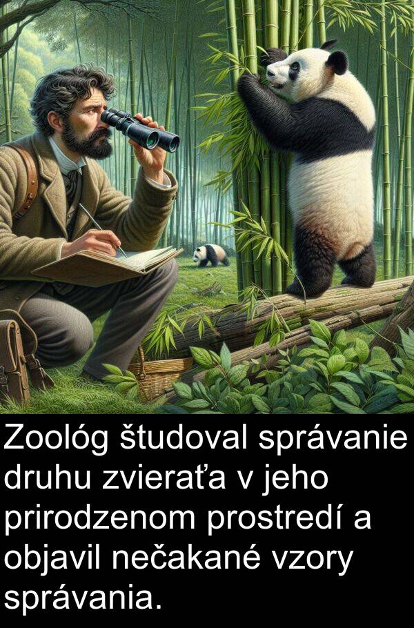 objavil: Zoológ študoval správanie druhu zvieraťa v jeho prirodzenom prostredí a objavil nečakané vzory správania.