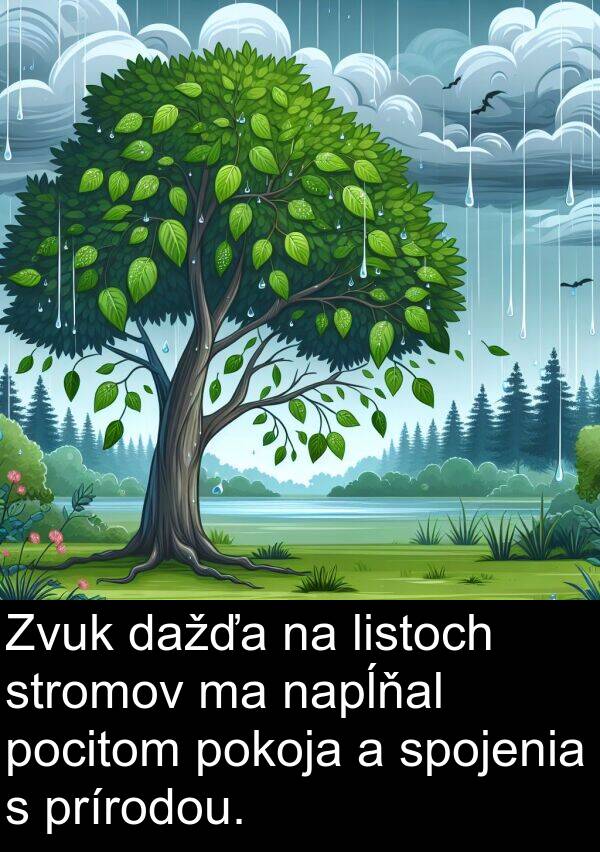 prírodou: Zvuk dažďa na listoch stromov ma napĺňal pocitom pokoja a spojenia s prírodou.