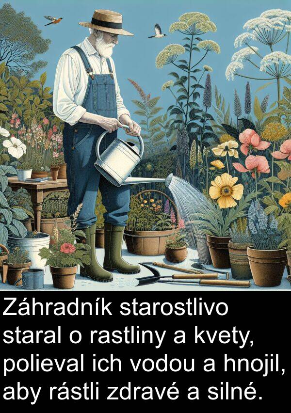 rastliny: Záhradník starostlivo staral o rastliny a kvety, polieval ich vodou a hnojil, aby rástli zdravé a silné.