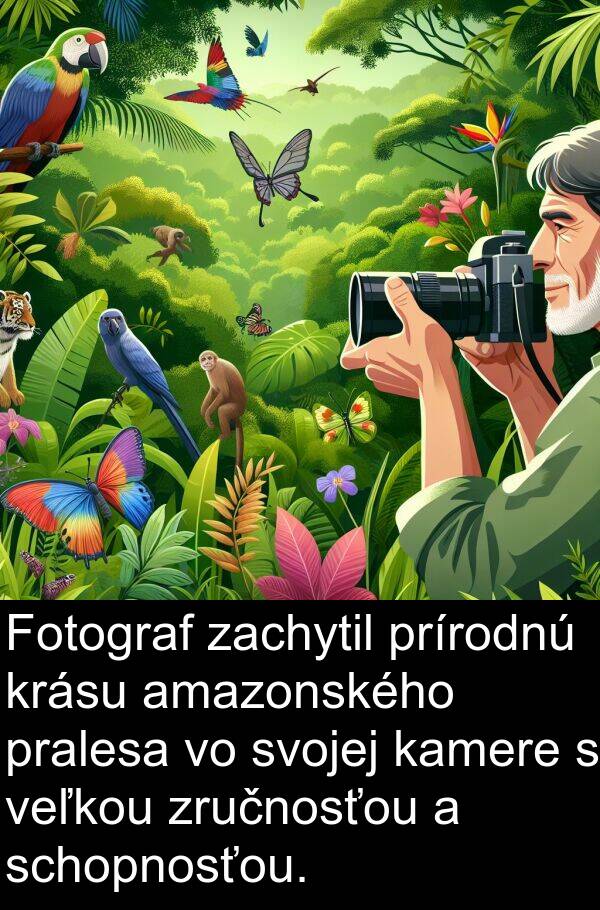 prírodnú: Fotograf zachytil prírodnú krásu amazonského pralesa vo svojej kamere s veľkou zručnosťou a schopnosťou.