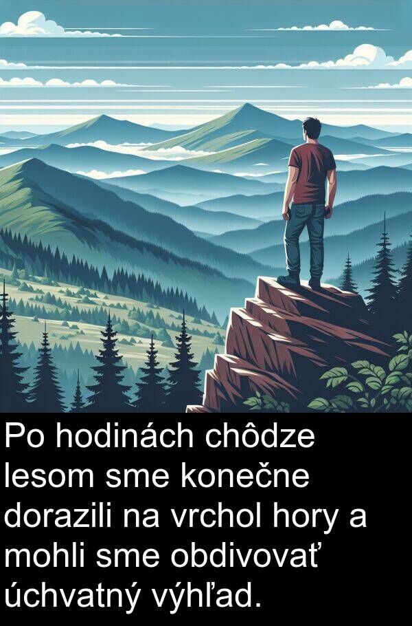 lesom: Po hodinách chôdze lesom sme konečne dorazili na vrchol hory a mohli sme obdivovať úchvatný výhľad.