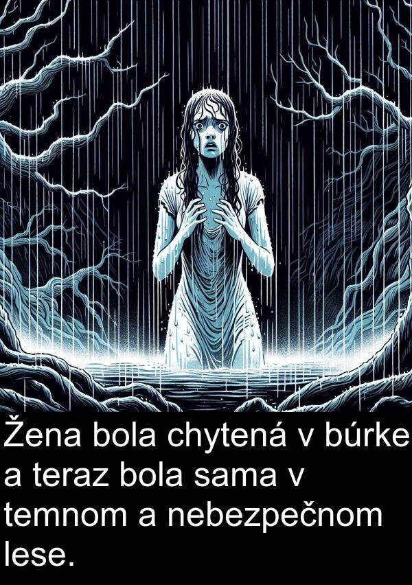 sama: Žena bola chytená v búrke a teraz bola sama v temnom a nebezpečnom lese.