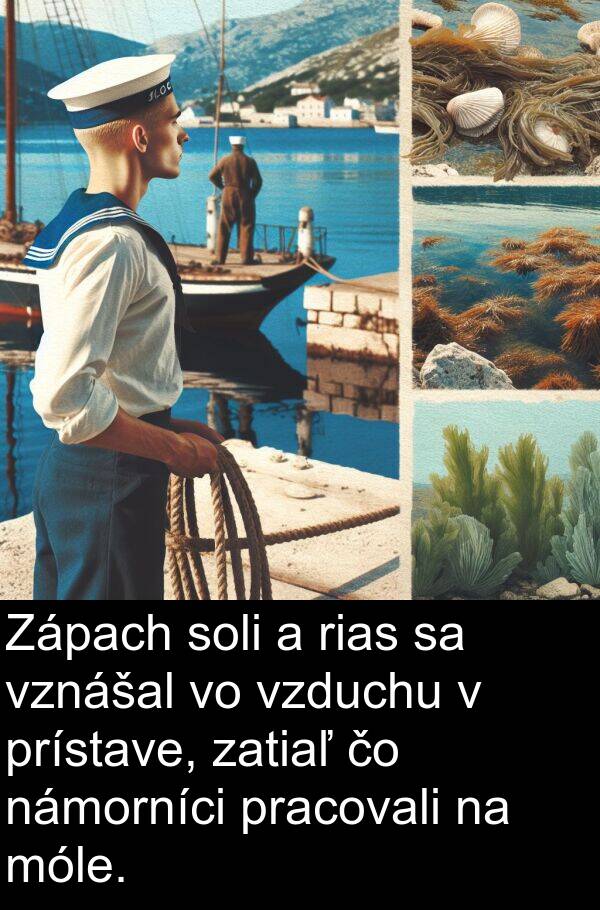 prístave: Zápach soli a rias sa vznášal vo vzduchu v prístave, zatiaľ čo námorníci pracovali na móle.