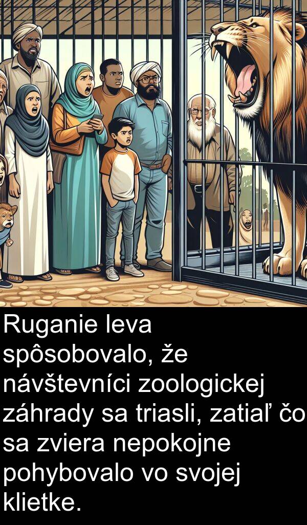 klietke: Ruganie leva spôsobovalo, že návštevníci zoologickej záhrady sa triasli, zatiaľ čo sa zviera nepokojne pohybovalo vo svojej klietke.