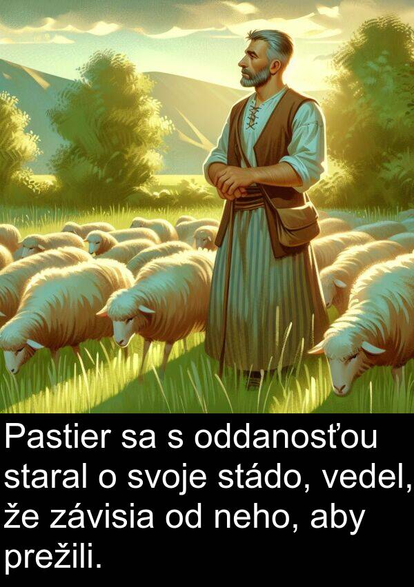 vedel: Pastier sa s oddanosťou staral o svoje stádo, vedel, že závisia od neho, aby prežili.