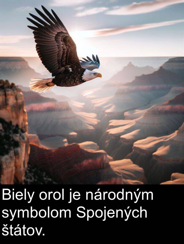 symbolom: Biely orol je národným symbolom Spojených štátov.