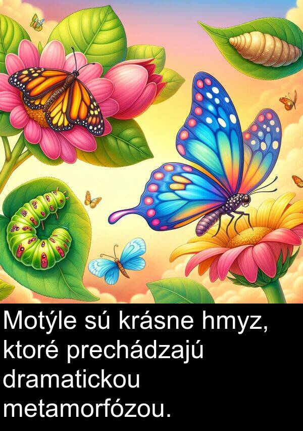 hmyz: Motýle sú krásne hmyz, ktoré prechádzajú dramatickou metamorfózou.