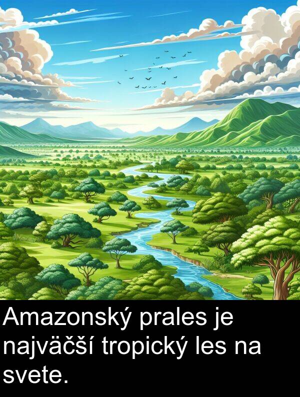 les: Amazonský prales je najväčší tropický les na svete.