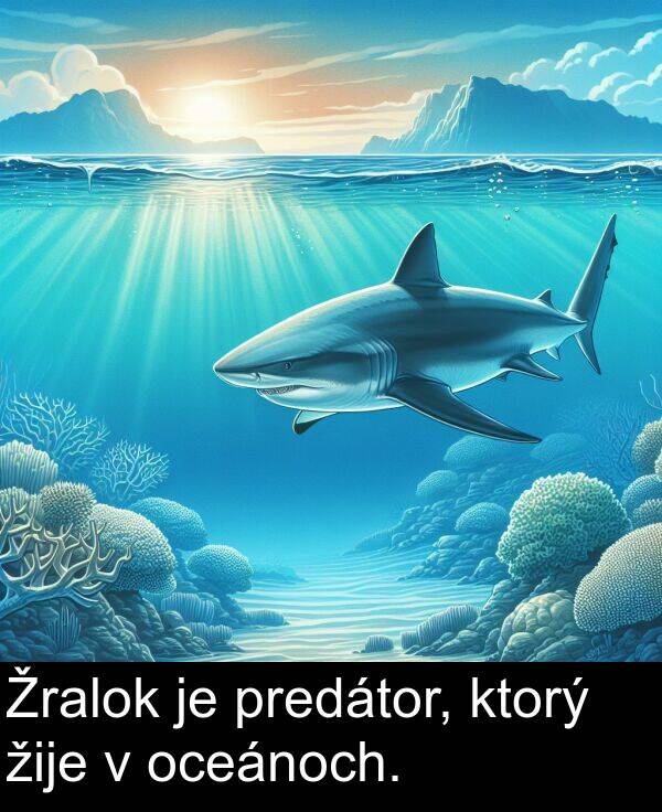 oceánoch: Žralok je predátor, ktorý žije v oceánoch.