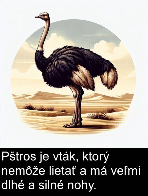 lietať: Pštros je vták, ktorý nemôže lietať a má veľmi dlhé a silné nohy.