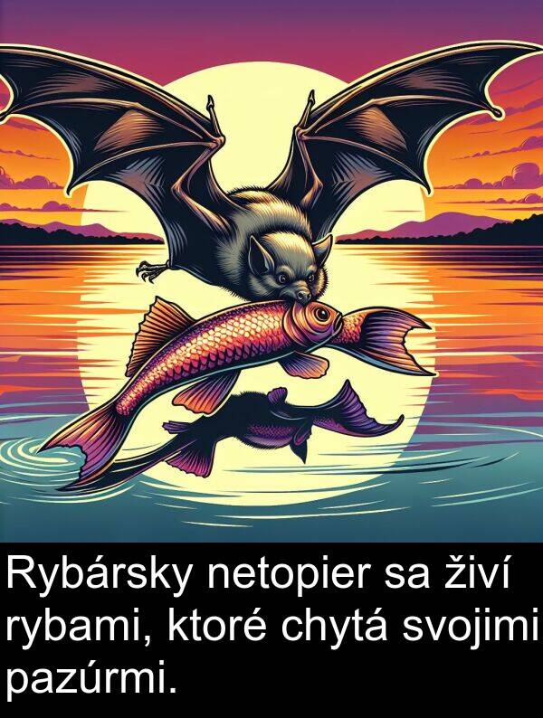 svojimi: Rybársky netopier sa živí rybami, ktoré chytá svojimi pazúrmi.