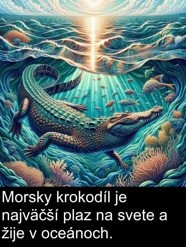 svete: Morsky krokodíl je najväčší plaz na svete a žije v oceánoch.