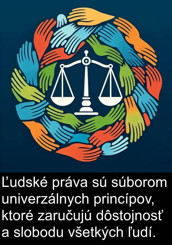 princípov: Ľudské práva sú súborom univerzálnych princípov, ktoré zaručujú dôstojnosť a slobodu všetkých ľudí.