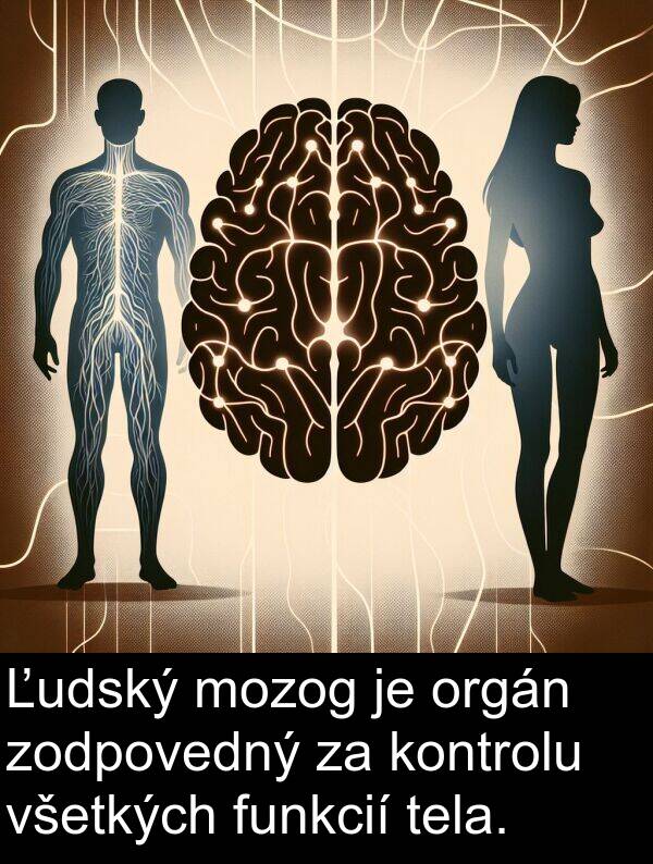 všetkých: Ľudský mozog je orgán zodpovedný za kontrolu všetkých funkcií tela.