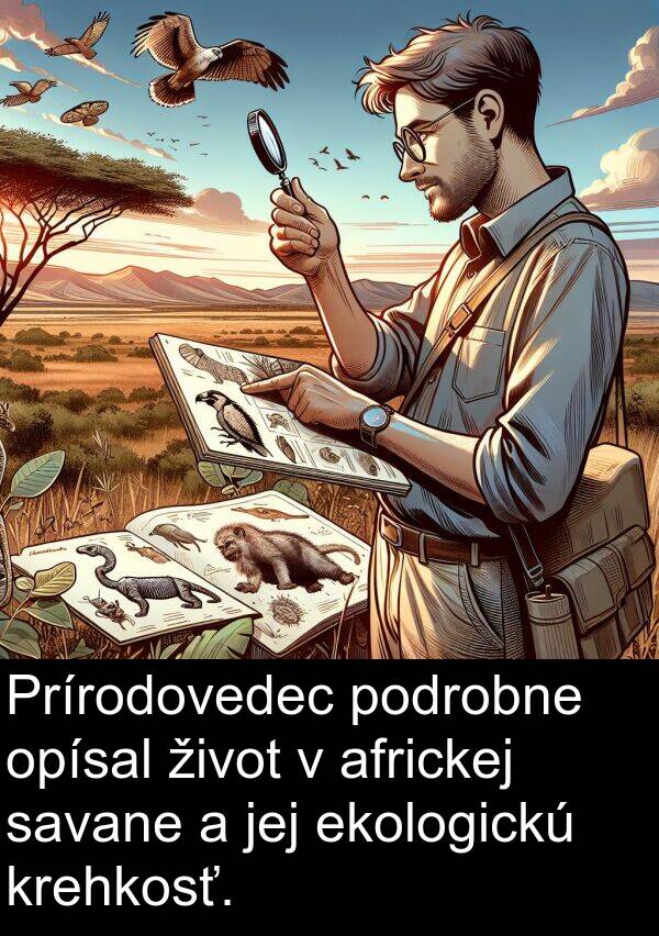 savane: Prírodovedec podrobne opísal život v africkej savane a jej ekologickú krehkosť.