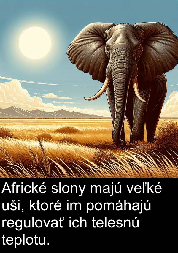 ich: Africké slony majú veľké uši, ktoré im pomáhajú regulovať ich telesnú teplotu.