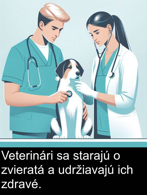 ich: Veterinári sa starajú o zvieratá a udržiavajú ich zdravé.