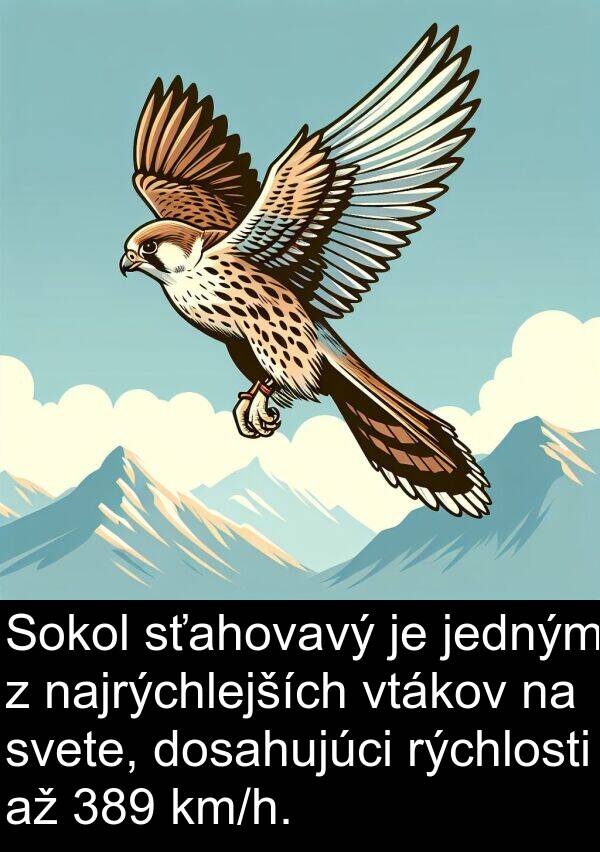 jedným: Sokol sťahovavý je jedným z najrýchlejších vtákov na svete, dosahujúci rýchlosti až 389 km/h.