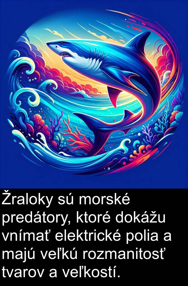 elektrické: Žraloky sú morské predátory, ktoré dokážu vnímať elektrické polia a majú veľkú rozmanitosť tvarov a veľkostí.