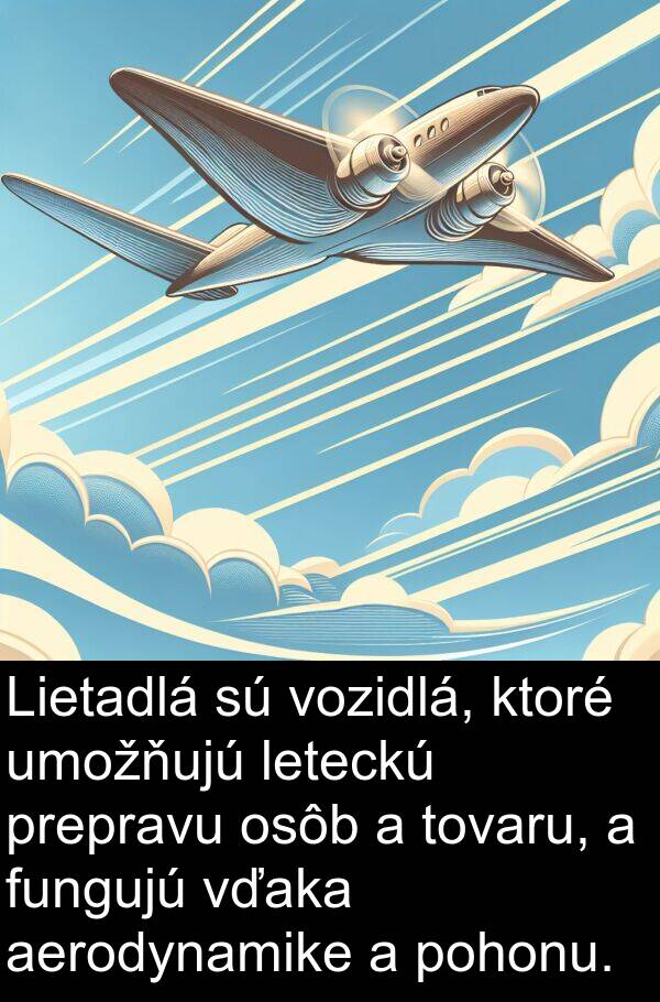 vďaka: Lietadlá sú vozidlá, ktoré umožňujú leteckú prepravu osôb a tovaru, a fungujú vďaka aerodynamike a pohonu.