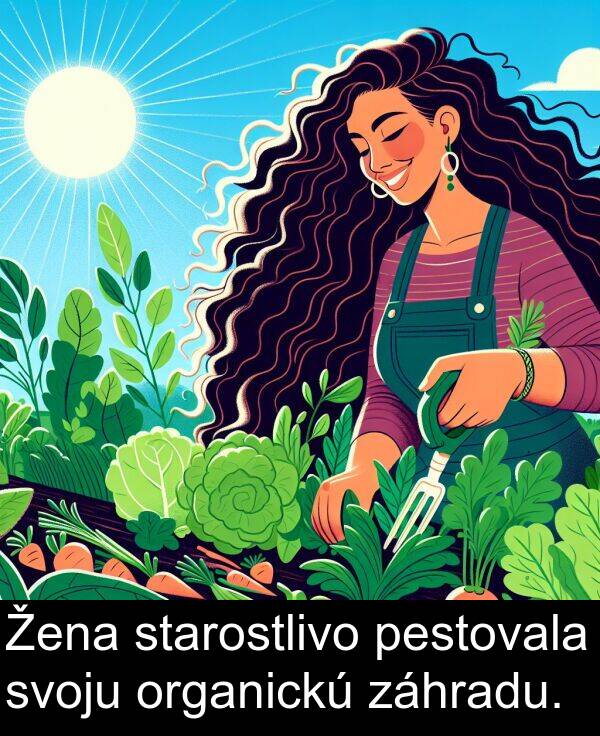 pestovala: Žena starostlivo pestovala svoju organickú záhradu.