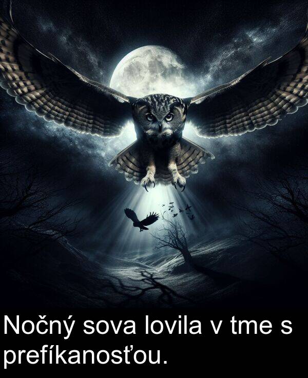 lovila: Nočný sova lovila v tme s prefíkanosťou.