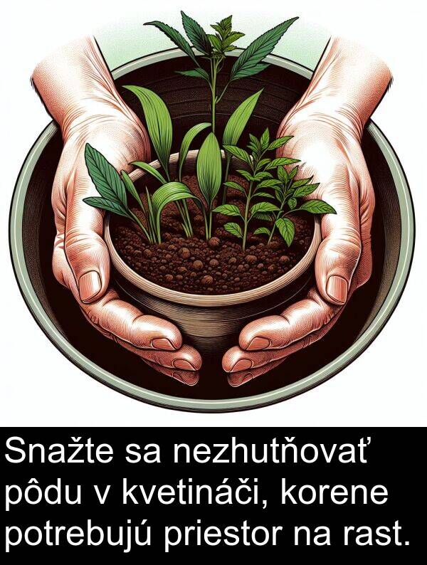 rast: Snažte sa nezhutňovať pôdu v kvetináči, korene potrebujú priestor na rast.