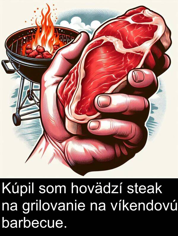 grilovanie: Kúpil som hovädzí steak na grilovanie na víkendovú barbecue.