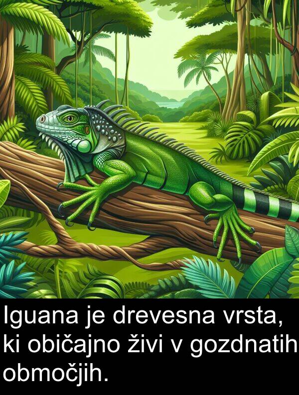 gozdnatih: Iguana je drevesna vrsta, ki običajno živi v gozdnatih območjih.