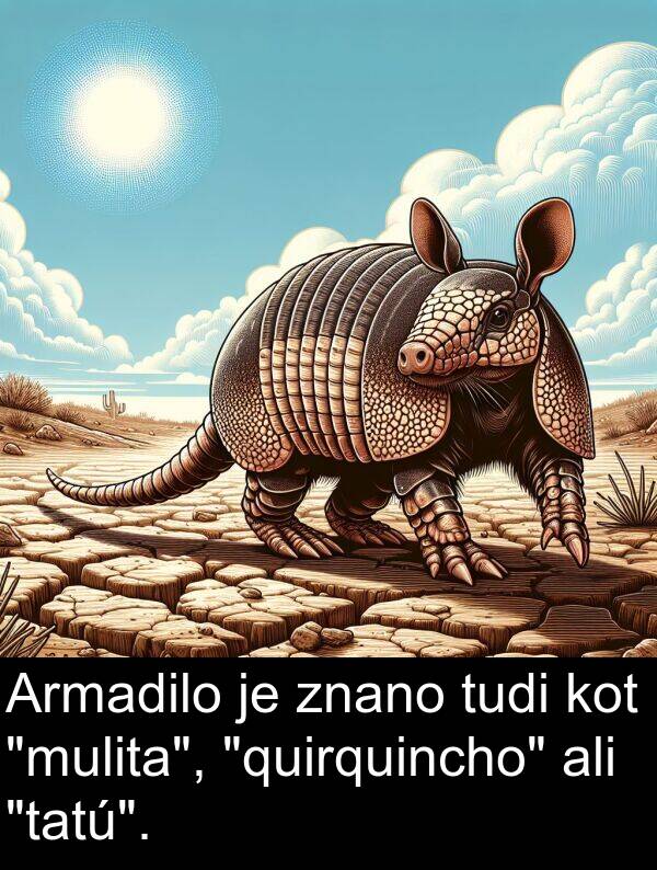 ali: Armadilo je znano tudi kot "mulita", "quirquincho" ali "tatú".