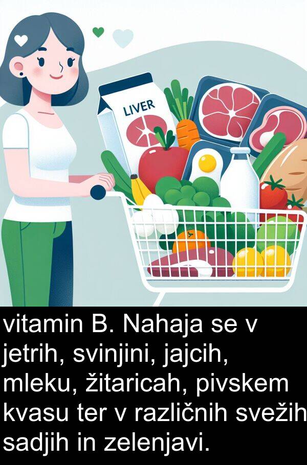 ter: vitamin B. Nahaja se v jetrih, svinjini, jajcih, mleku, žitaricah, pivskem kvasu ter v različnih svežih sadjih in zelenjavi.