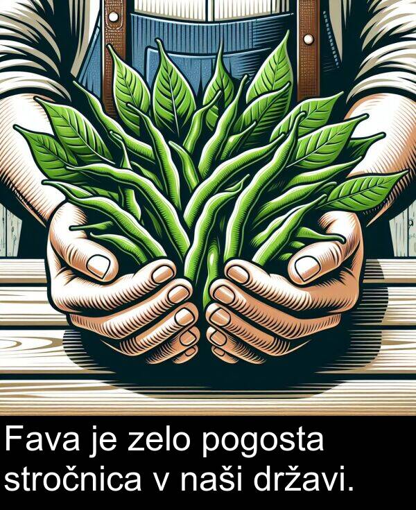 pogosta: Fava je zelo pogosta stročnica v naši državi.