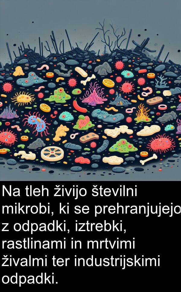 številni: Na tleh živijo številni mikrobi, ki se prehranjujejo z odpadki, iztrebki, rastlinami in mrtvimi živalmi ter industrijskimi odpadki.