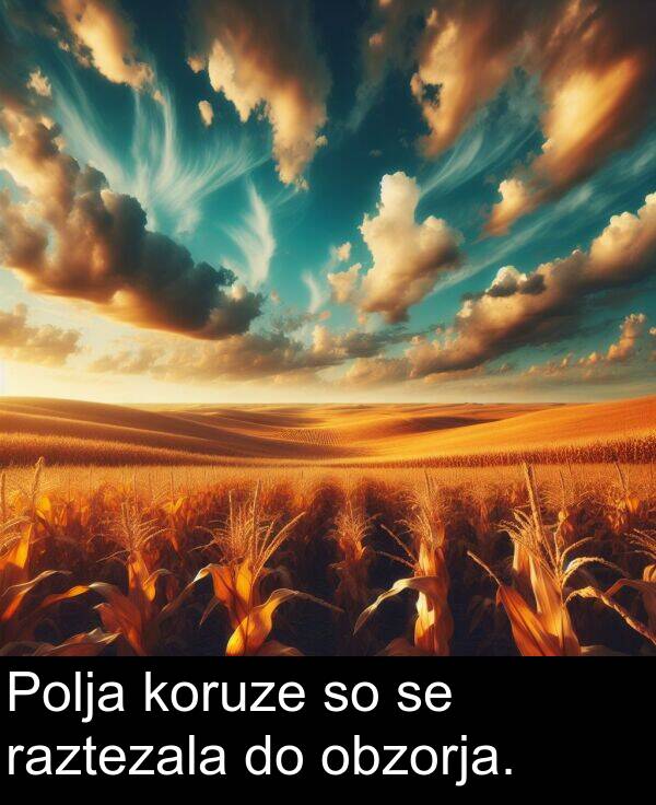 koruze: Polja koruze so se raztezala do obzorja.