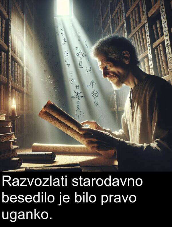 uganko: Razvozlati starodavno besedilo je bilo pravo uganko.