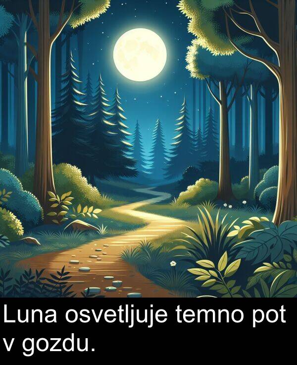 temno: Luna osvetljuje temno pot v gozdu.